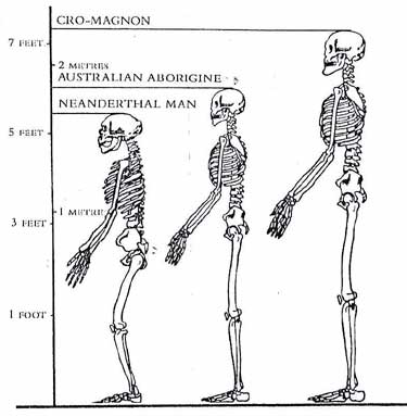 Cro-Magnon 