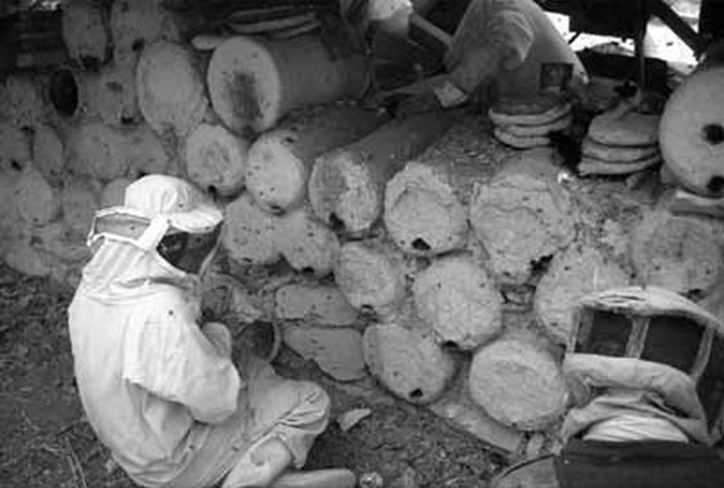 clay cylinder beehives